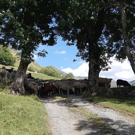 Hotel La Montagne Fleurie Barèges