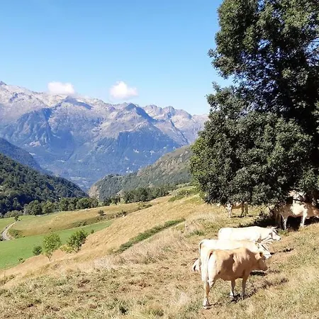 Hotel La Montagne Fleurie Barèges
