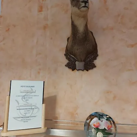 La Montagne Fleurie Otel 3*