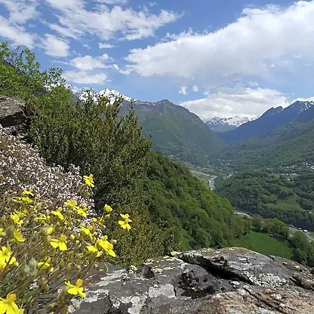 La Montagne Fleurie 바레즈